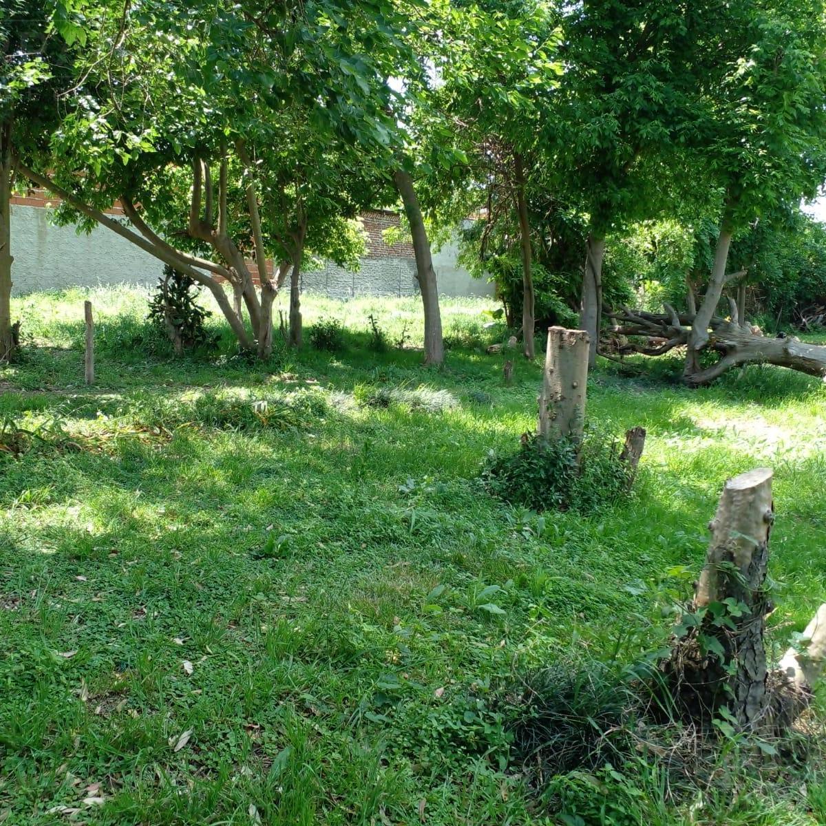Venta Terreno en Los Cardales, Exaltación de La Cruz 5