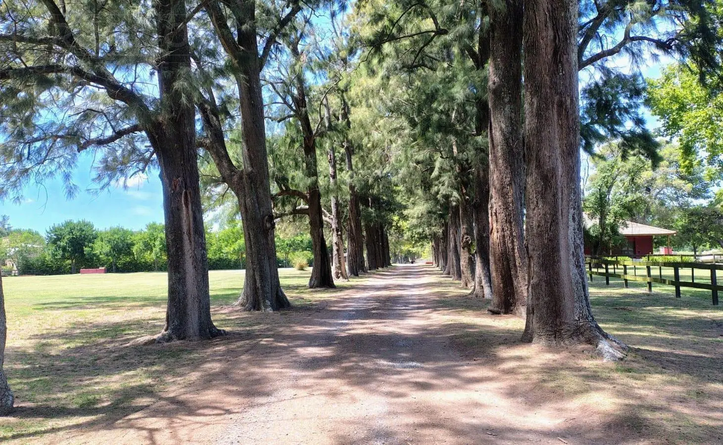Terreno 5000m2 en Haras El Malacate. 5