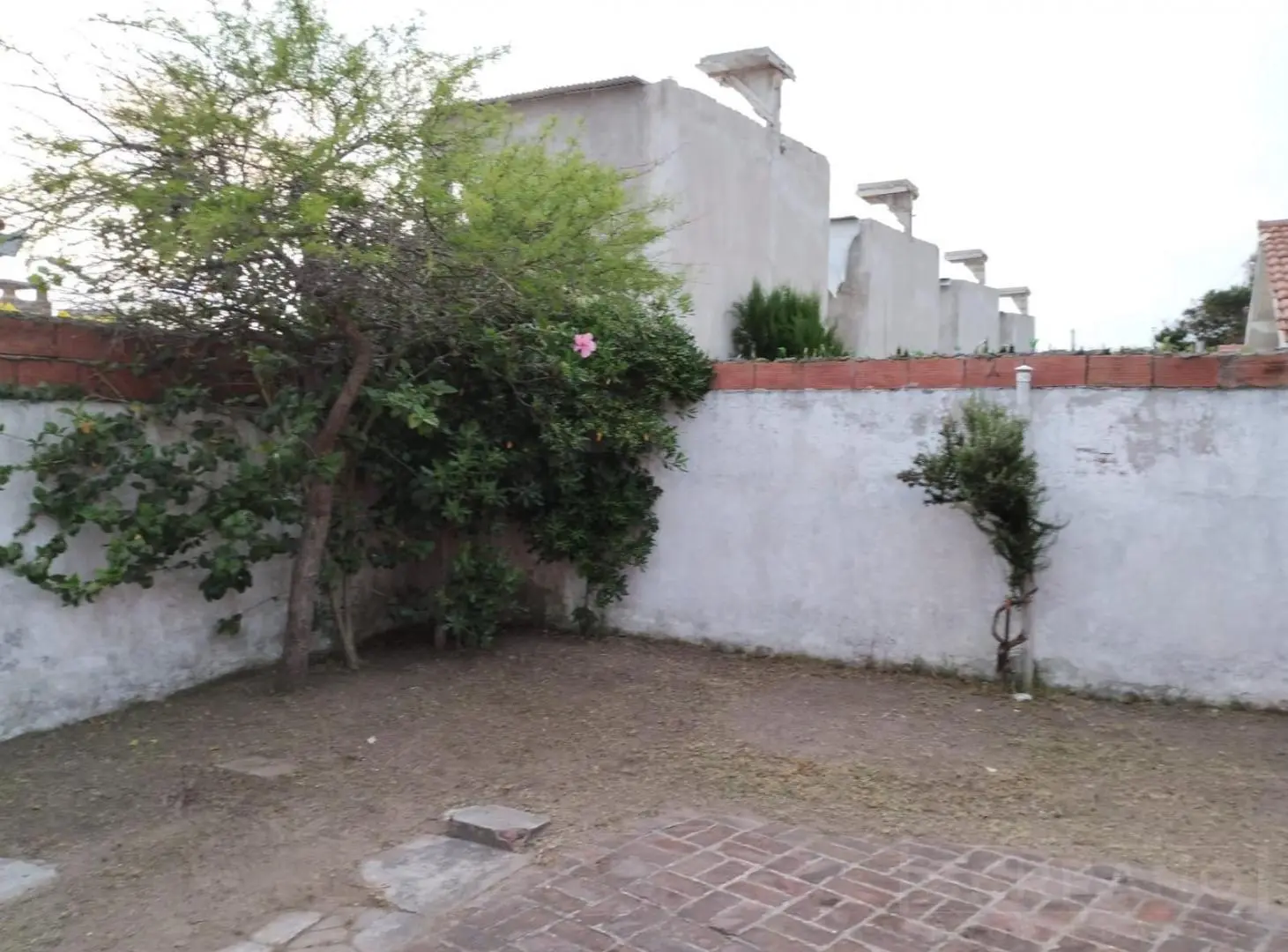 Venta casa de 3 ambientes a media cuadra del mar en Mar del Tuyu 2