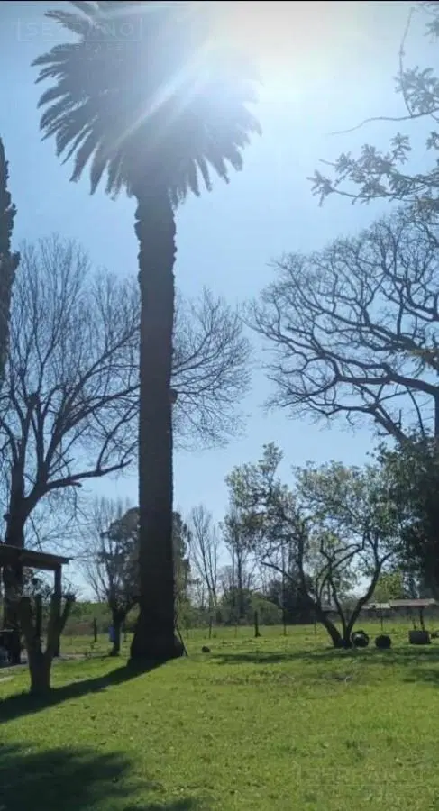 Venta Campo 7has apto loteo en el Barrio El Cazador, Escobar 4