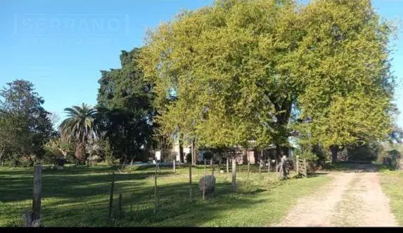 Venta Campo 7has apto loteo en el Barrio El Cazador, Escobar 5