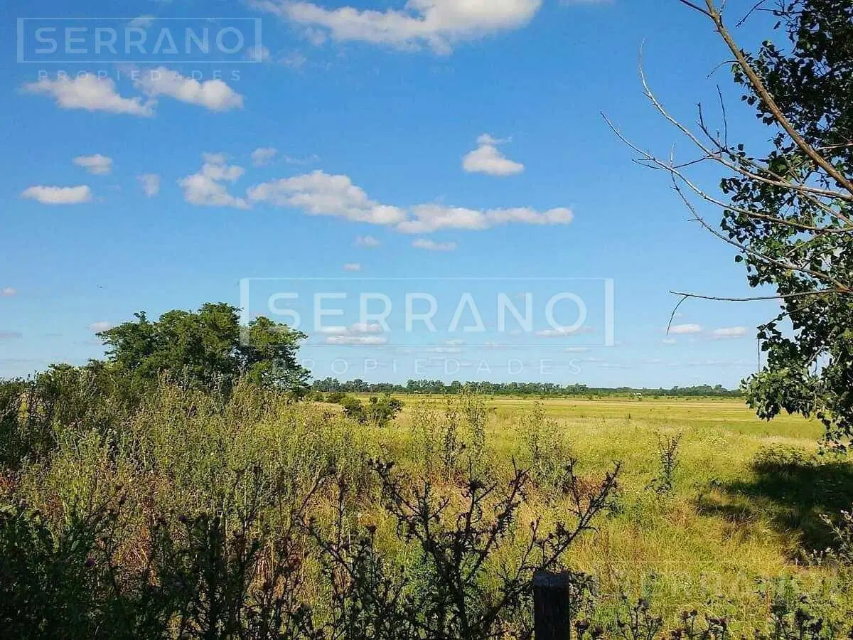 Importante Campo en Venta 146ha junto a Colonia de Chacra 1