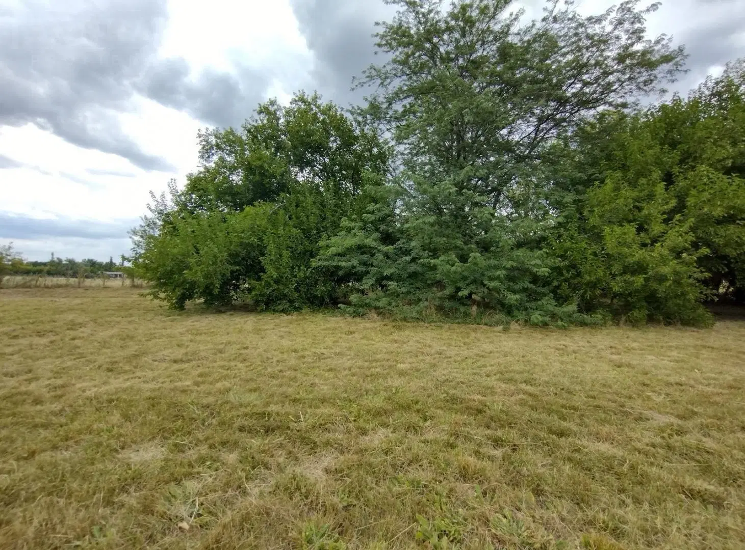 Venta. Terreno 3000 M2. Barrio Parque La Verdad. Exaltación de la Cruz 4