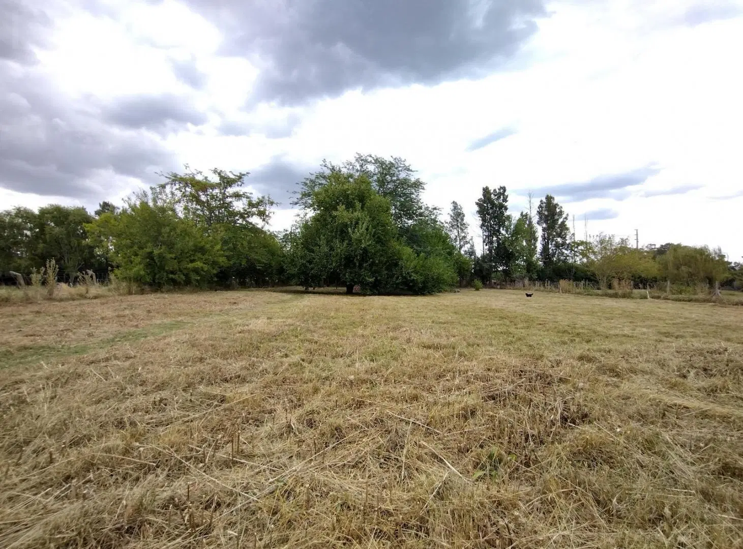 Venta. Terreno 3000 M2. Barrio Parque La Verdad. Exaltación de la Cruz 2