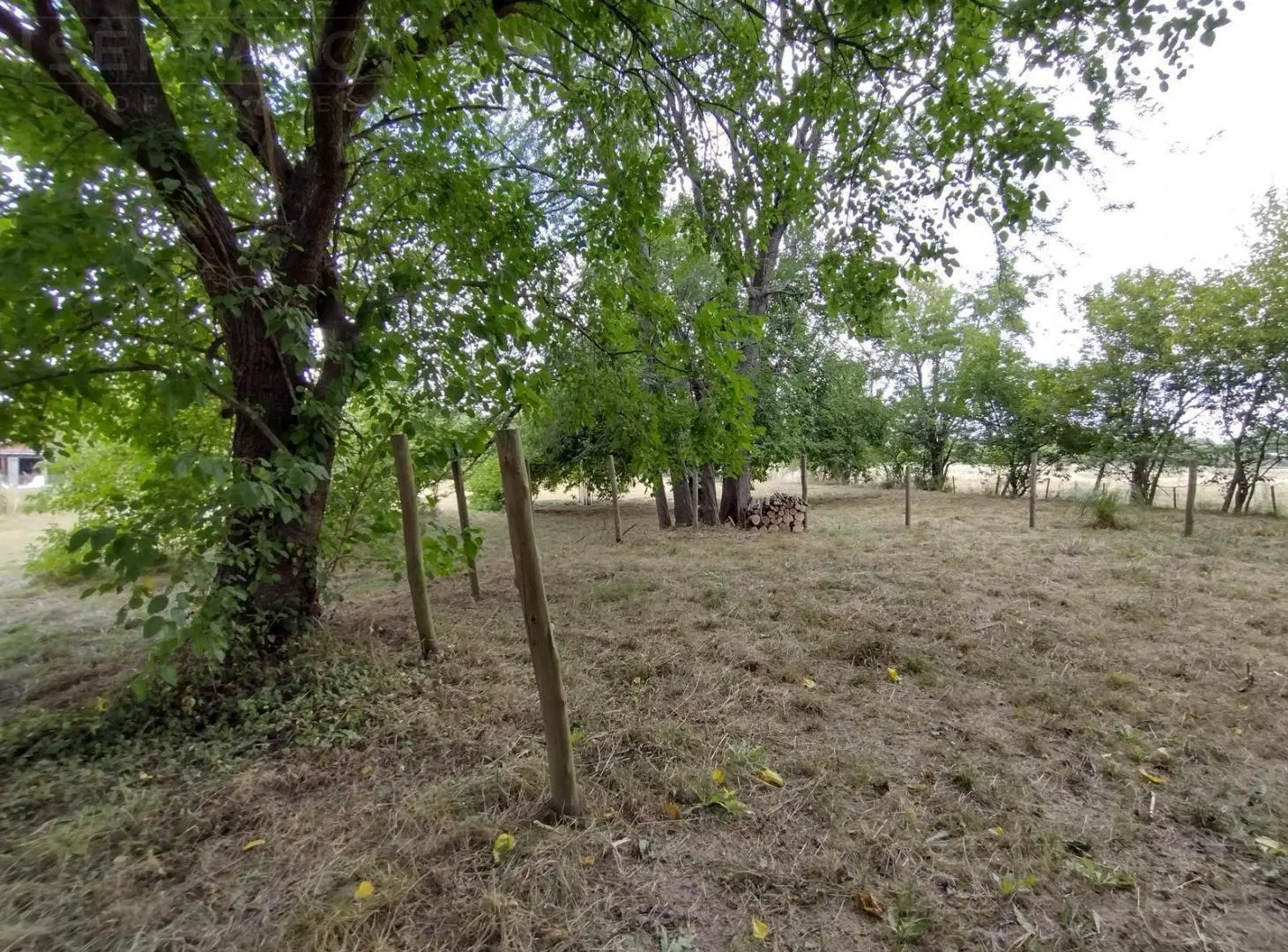 Venta. Terreno 3000 M2. Barrio Parque La Verdad. Exaltación de la Cruz 3