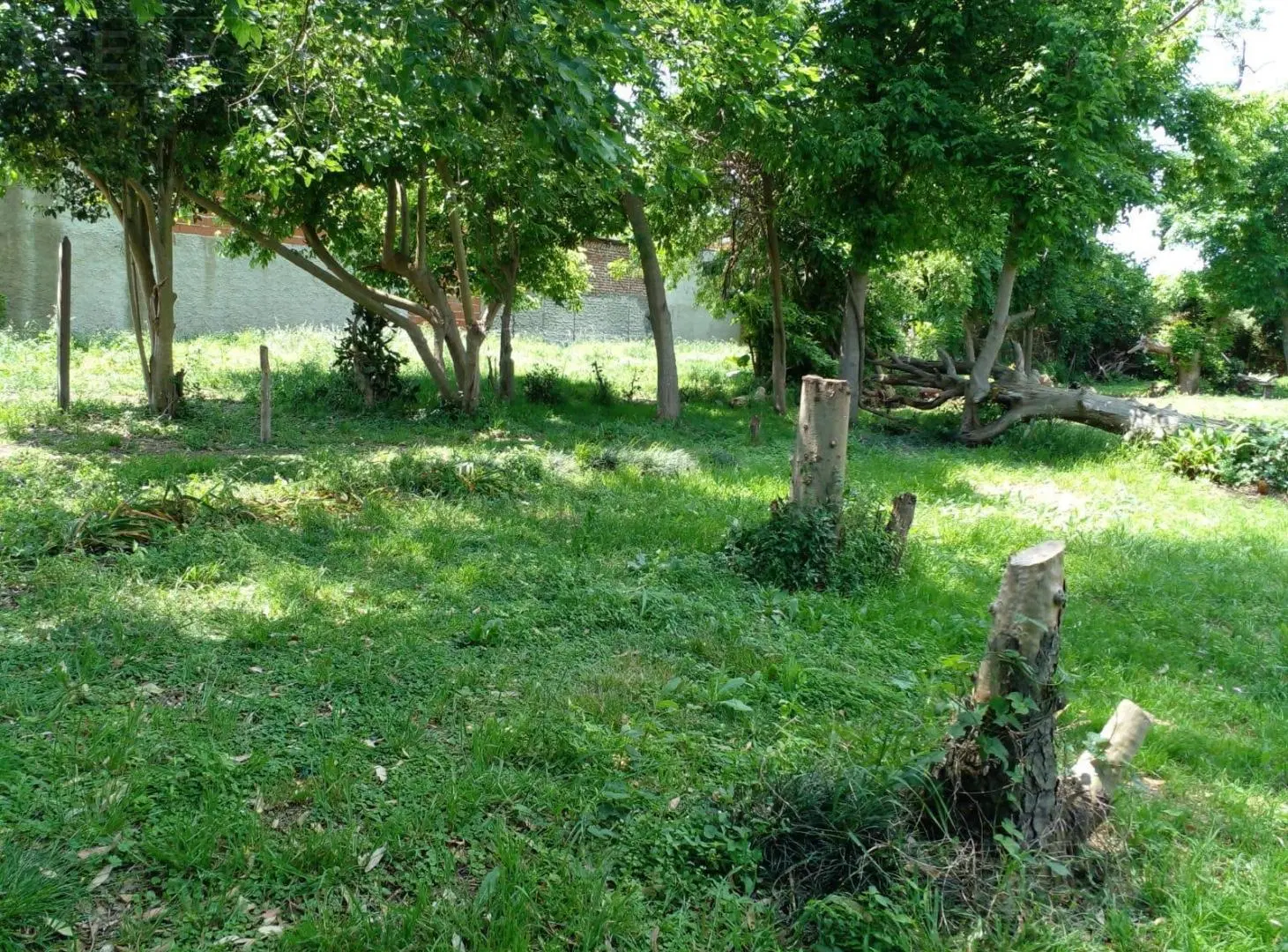 Venta terreno en Los Cardales, Exaltación de la Cruz 5