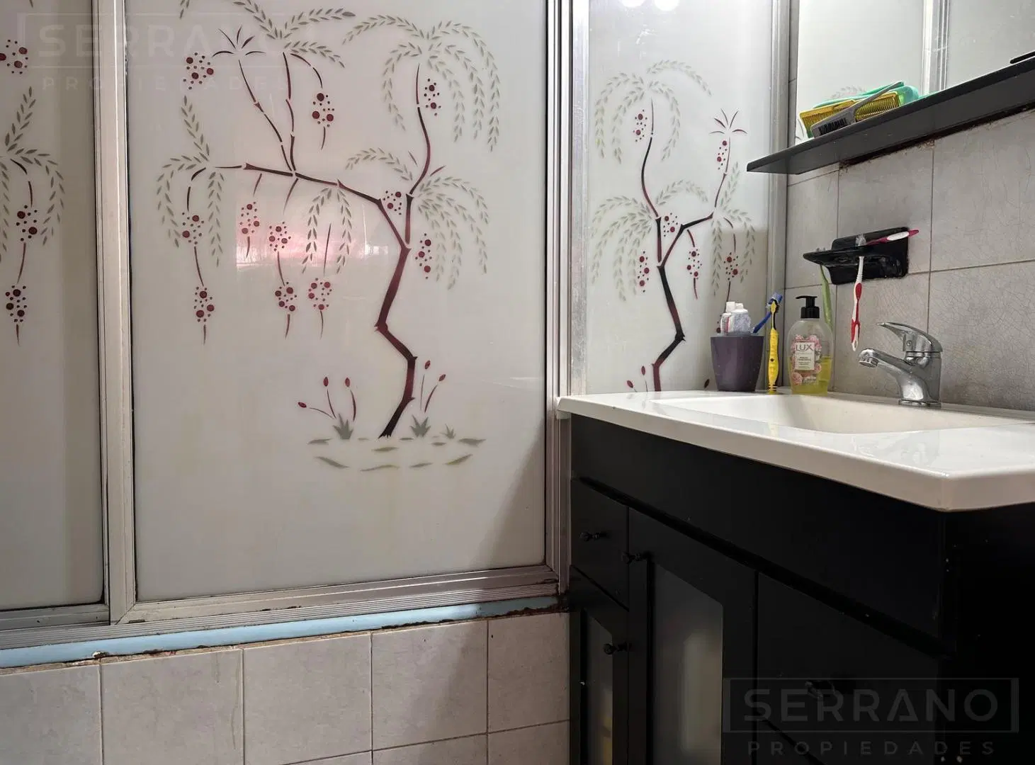 Venta PH con patio y terraza en Victoria, San fernando 2