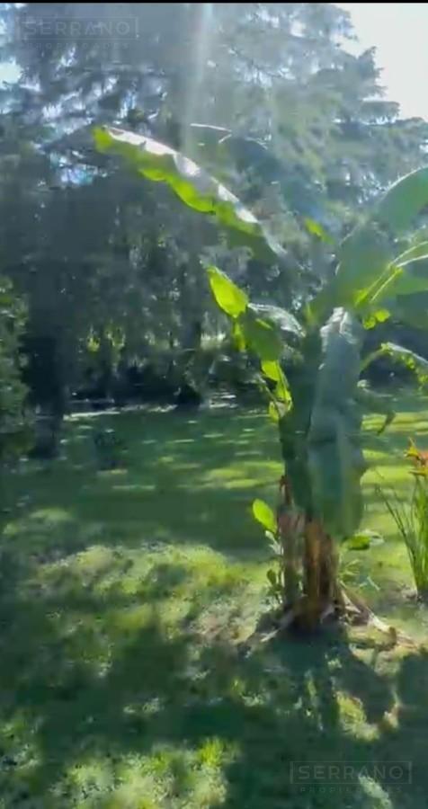 Venta de quinta de 5.000 mtrs sobre ruta 8 PILAR. Zona IAE AUSTRAL.