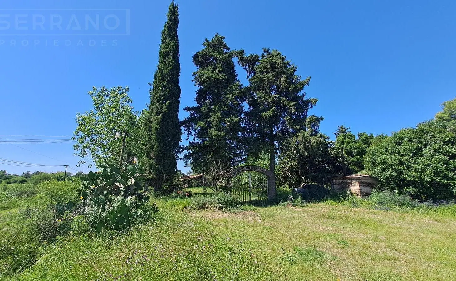 LDO. Venta Campo Fracción 10 hectareas Apto Desarrollo Loteo Casa 4 ambientes Zarate 5