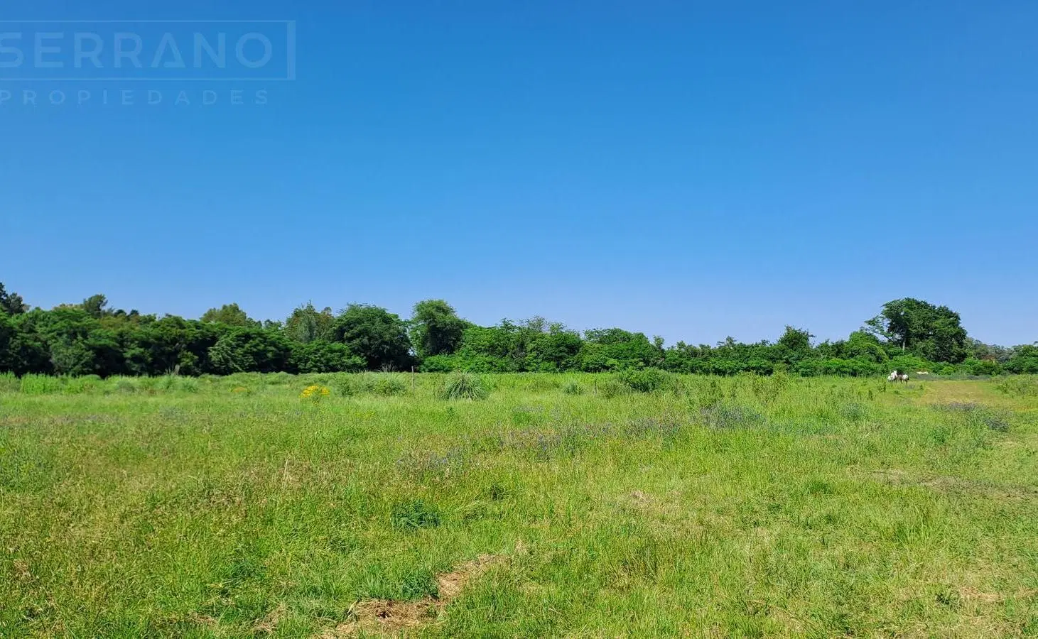 LDO. Venta Casa 4 ambientes Quincho Galpón fracción 10 hectareas Apto Loteo Desarrollo  Zarate 5