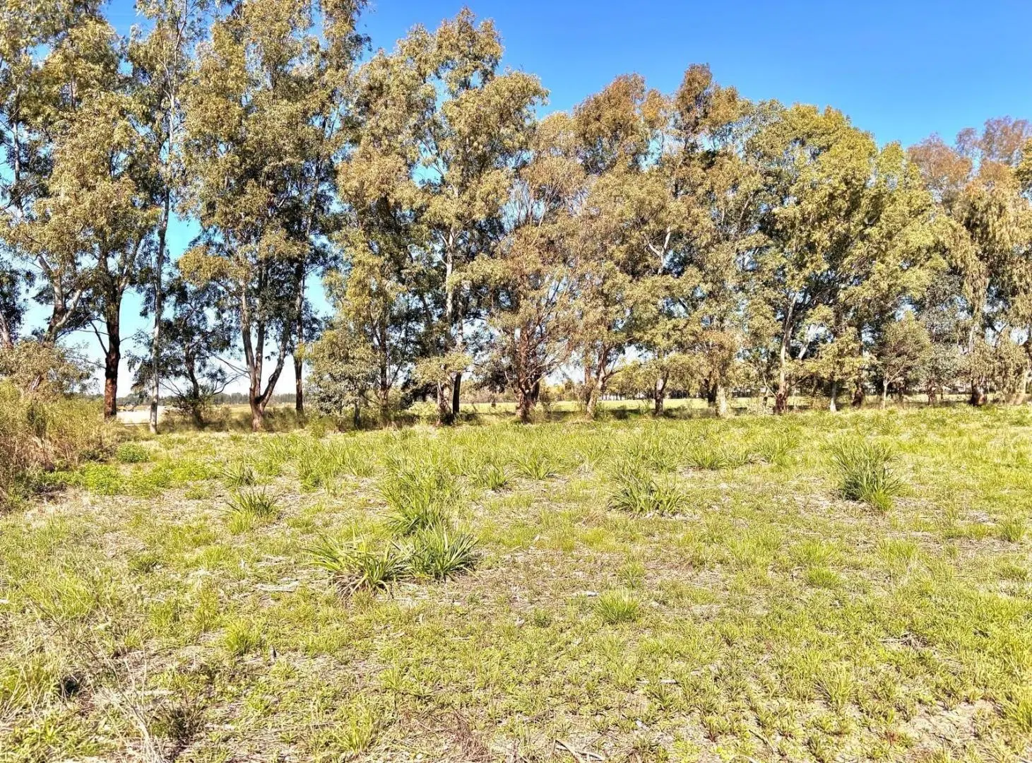 Terreno en venta, barrio semicerrado Praderas de Cardales 2 15 2