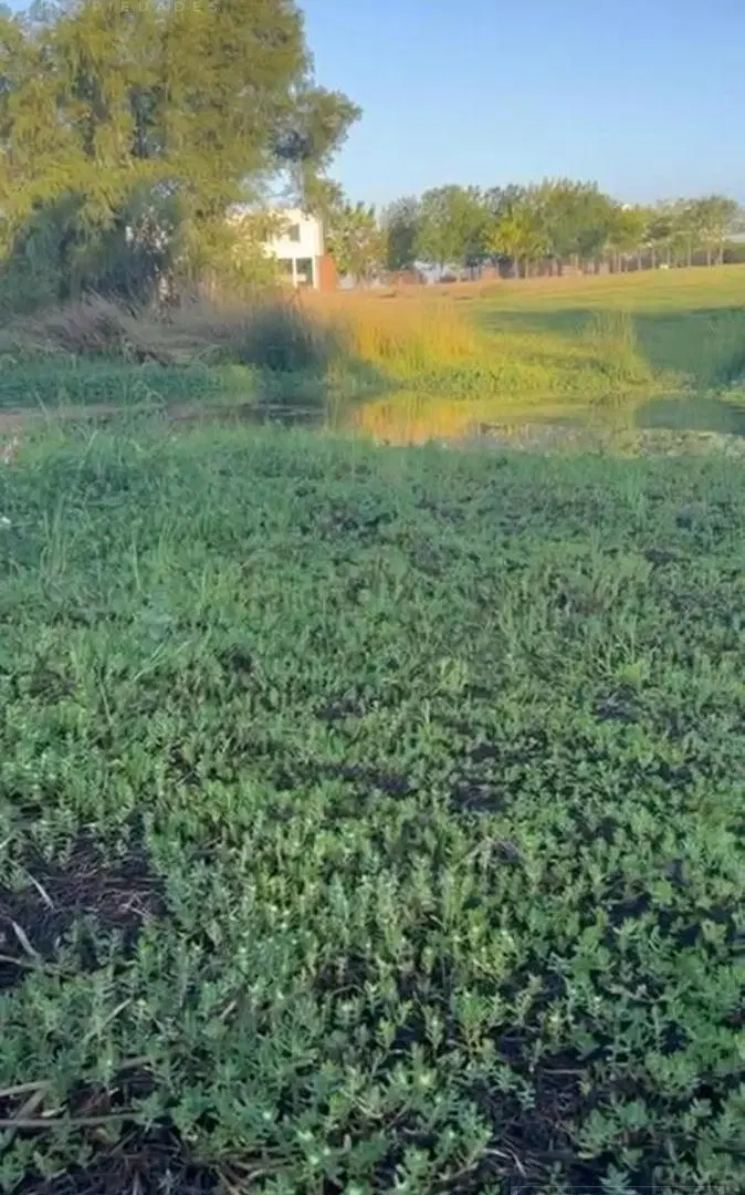 Venta Terreno directo a la Laguna en Barrio Nautico El Cazal Escobar. 1