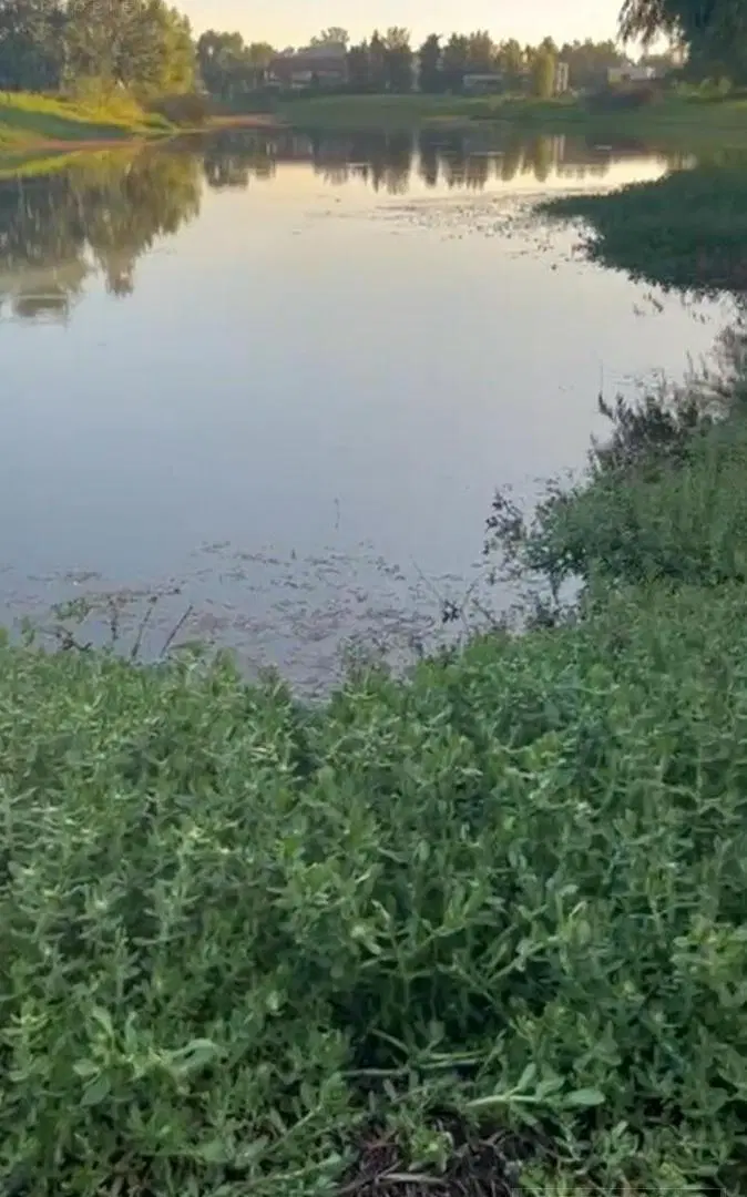 Venta Terreno directo a la Laguna en Barrio Nautico El Cazal Escobar. 2