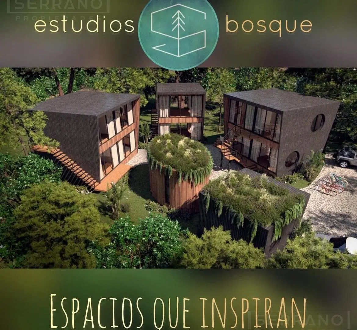 Local en venta con excelente renta 3
