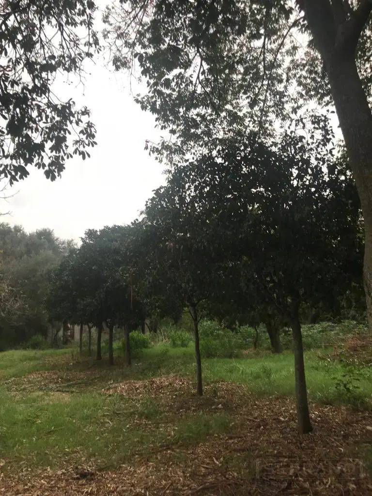 Venta campo agrícola ganadero con mejoras de 32 has. Zarate 2