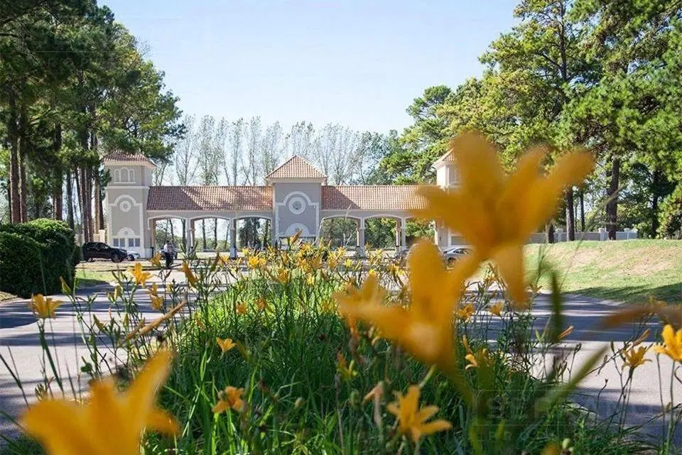 Venta Amplio Terreno en Pinares CC Exaltación de la Cruz 2