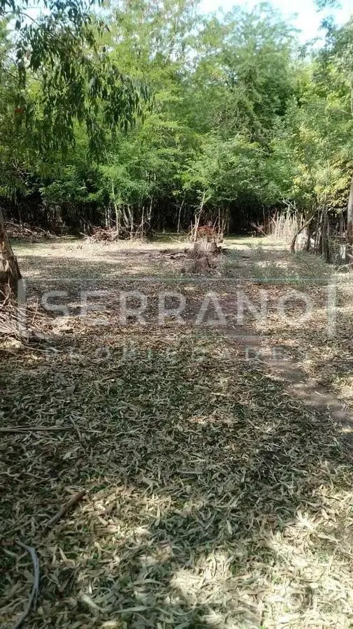 Venta lote 4 hectareas en El Cazador, Escobar 8