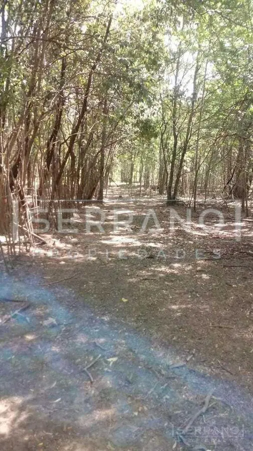 Venta lote 4 hectareas en El Cazador, Escobar 5