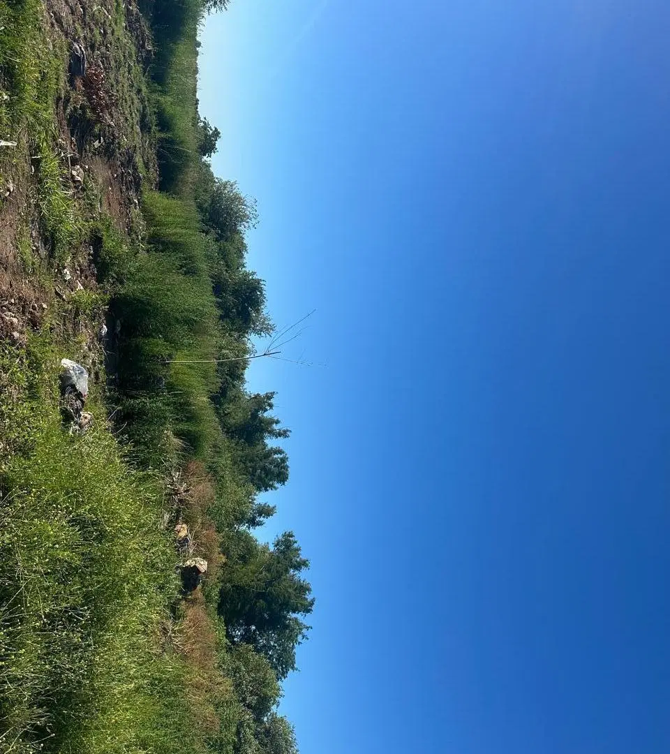 Venta campo 7.917  m2 en Las Toscas Loma Verde. Escobar 3