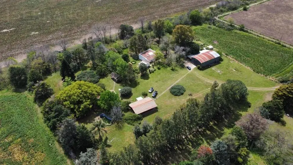 Venta Campo 40 Ha en Lima Zarate 5