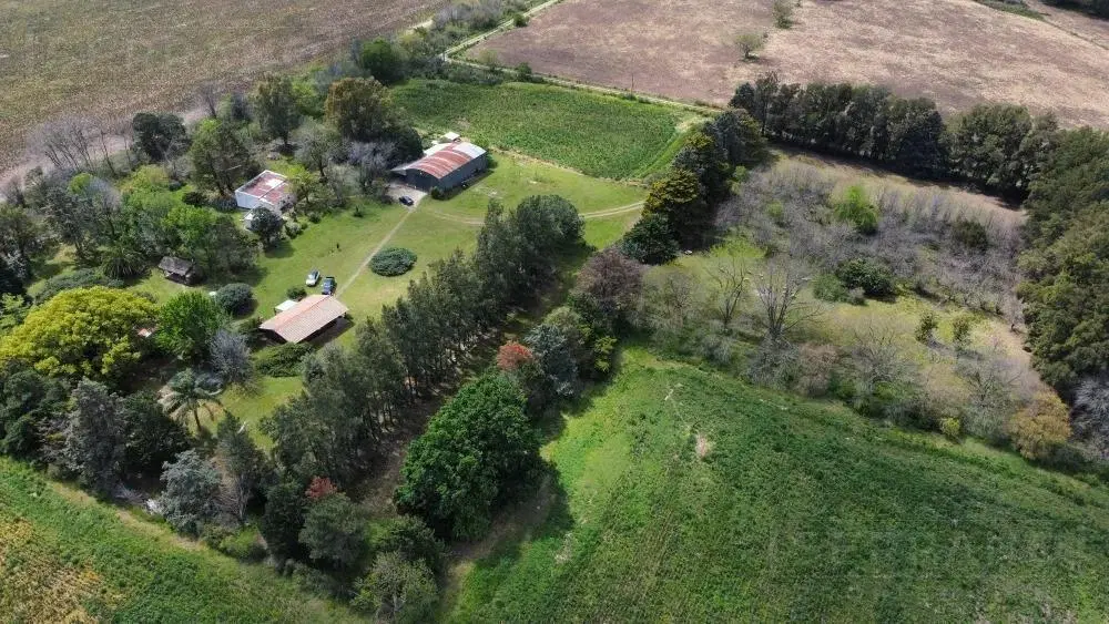 Venta Campo 40 Ha en Lima Zarate 2