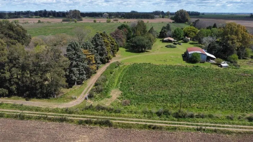Venta Campo 40 Ha en Lima Zarate 3