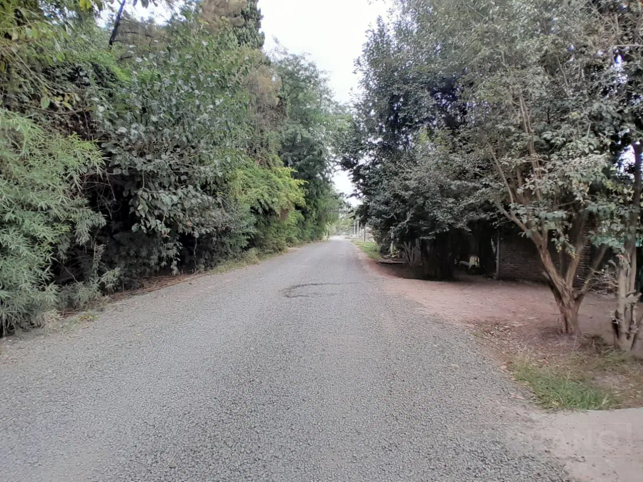 Venta Casa a terminar con amplio terreno con invernaculo en Loma Verde 5