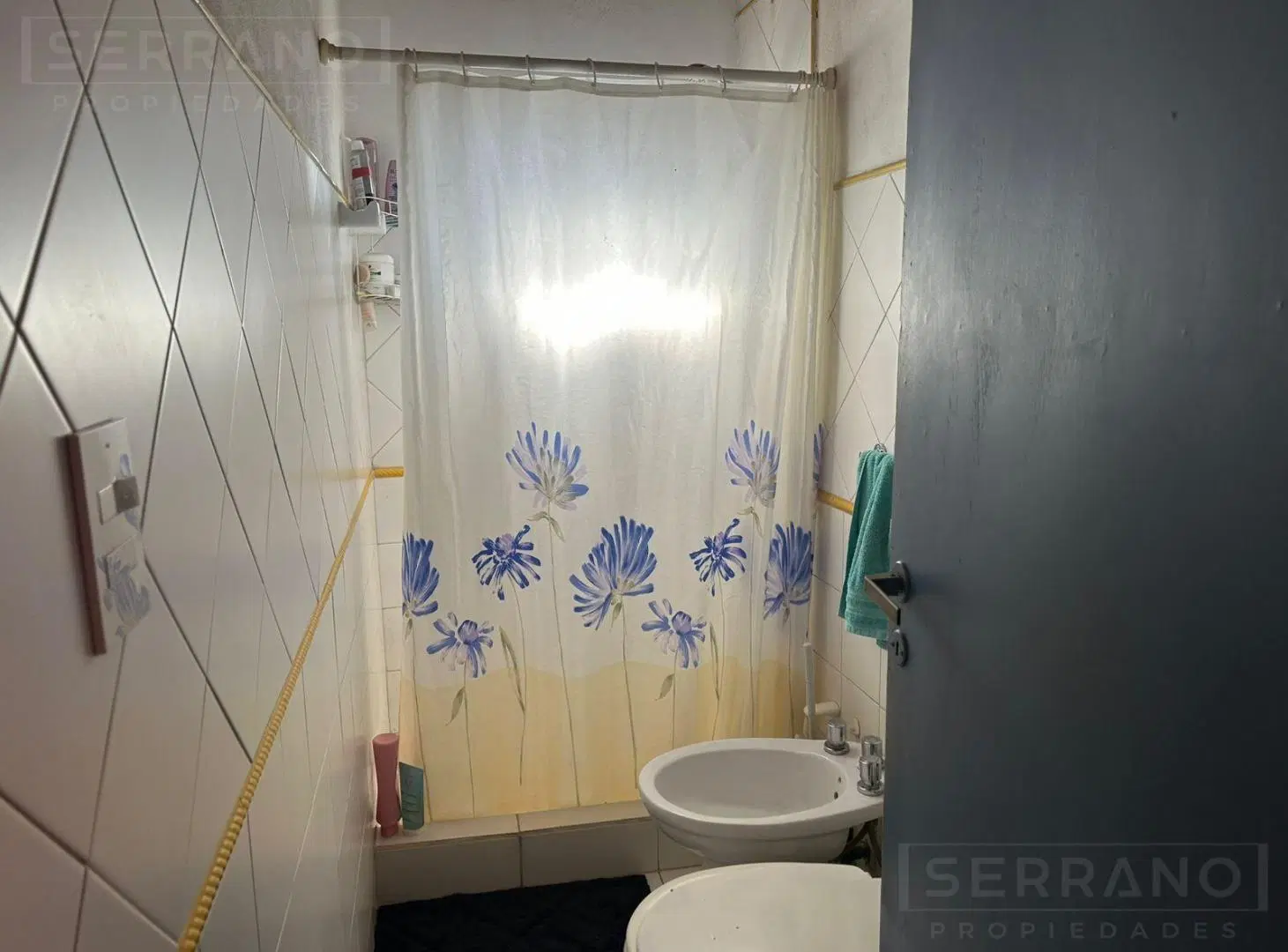 Venta casa estilo quinta con pileta, 5 dormitorios, amplio jardin, La Bota, Benavidez 2
