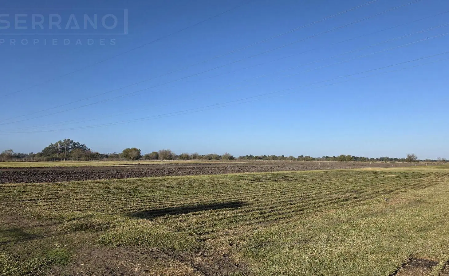 LDO Venta Campo 13 hectáreas Riego por aspersión Grama Bahiana Galpón 3 habitaciones Diego Gaynor 2