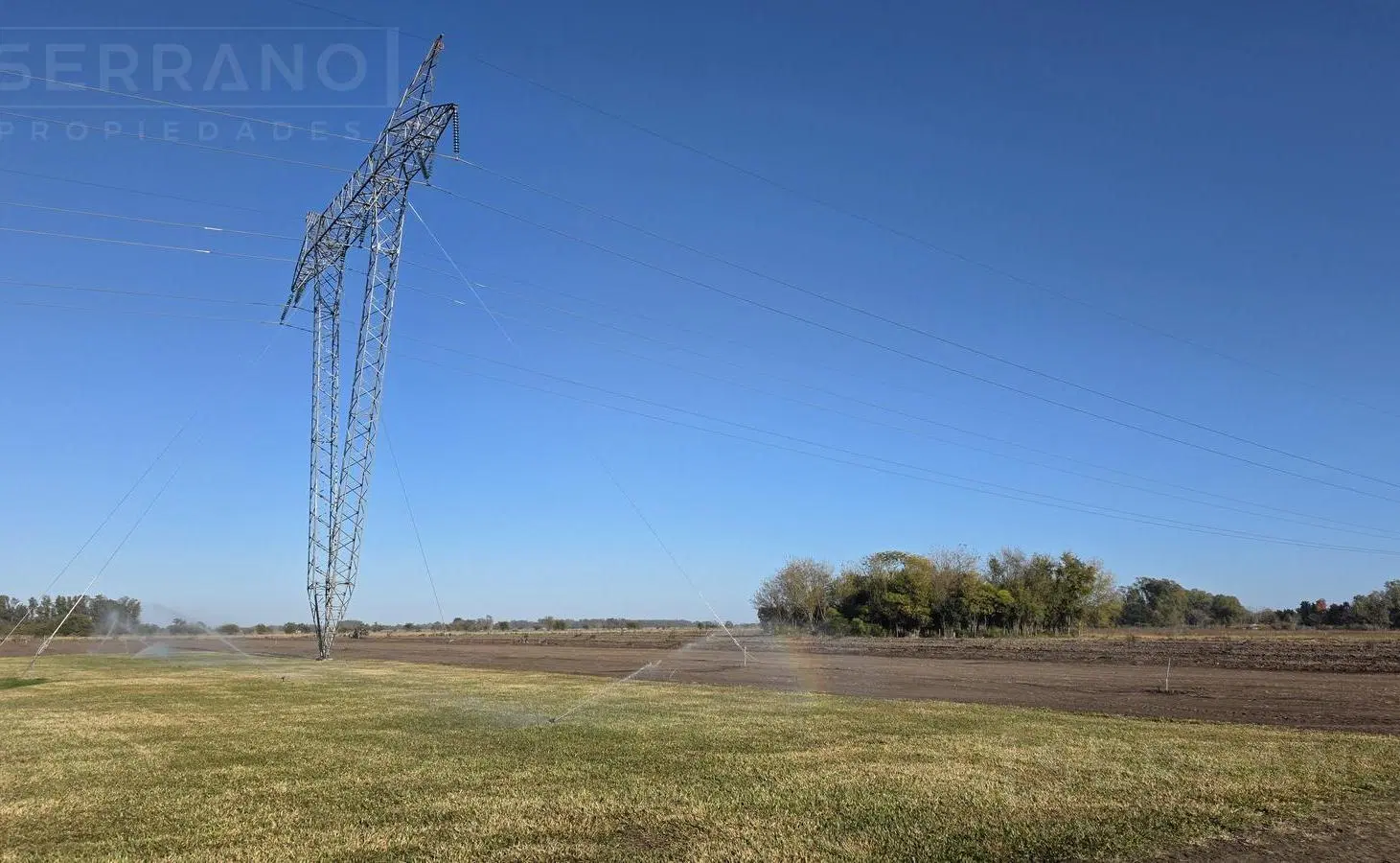 LDO Venta Campo 13 hectáreas Riego por aspersión Grama Bahiana Galpón 3 habitaciones Diego Gaynor 2