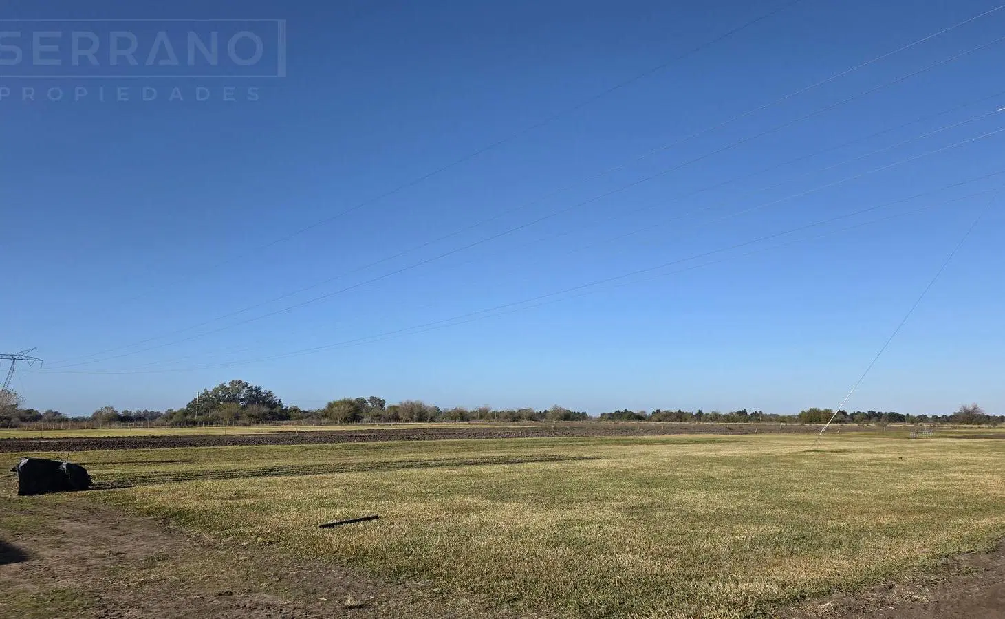 LDO Venta Campo 13 hectáreas Riego por aspersión Grama Bahiana Galpón 3 habitaciones Diego Gaynor 4