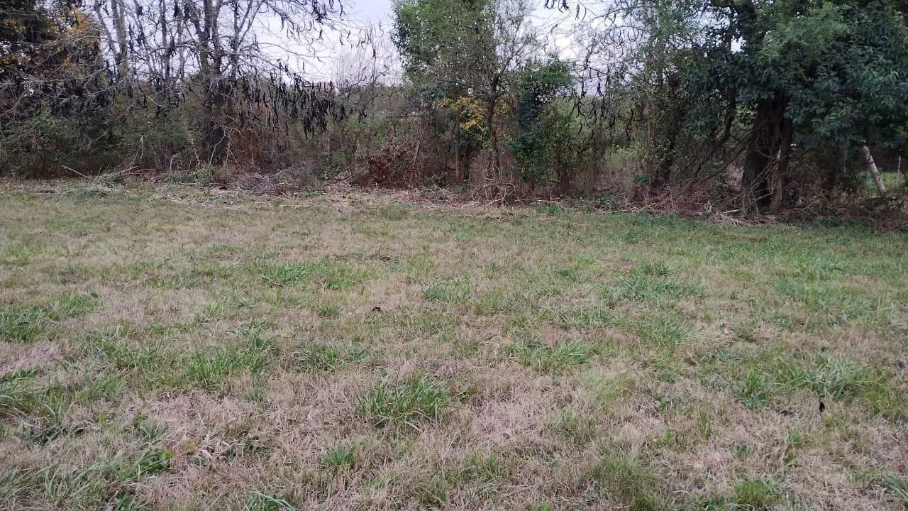 Terreno en venta lote 1295 m2 en el barrio La loma , Capilla del Señor 1