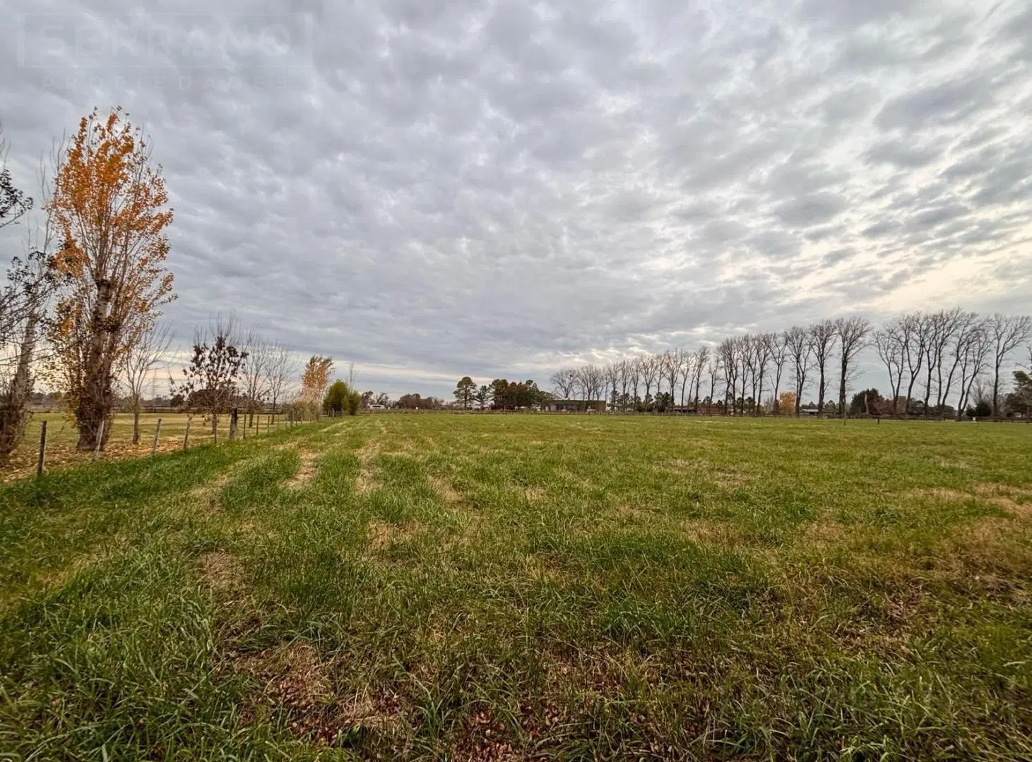 Terreno en venta 5000m2, Haras el Malacate 5