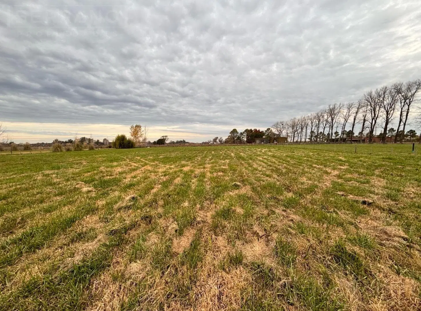 Terreno en venta 5000m2, Haras el Malacate 4