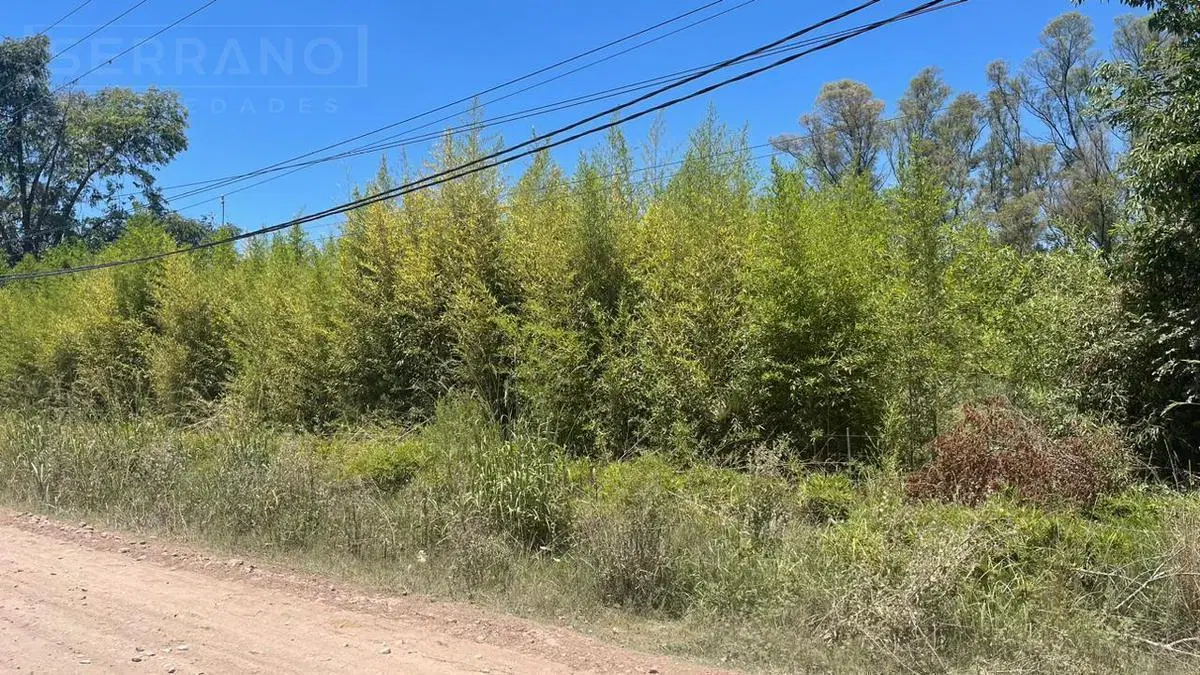 Terreno en Villa Rosa Zona Industrial Pilar Ruta 25 5