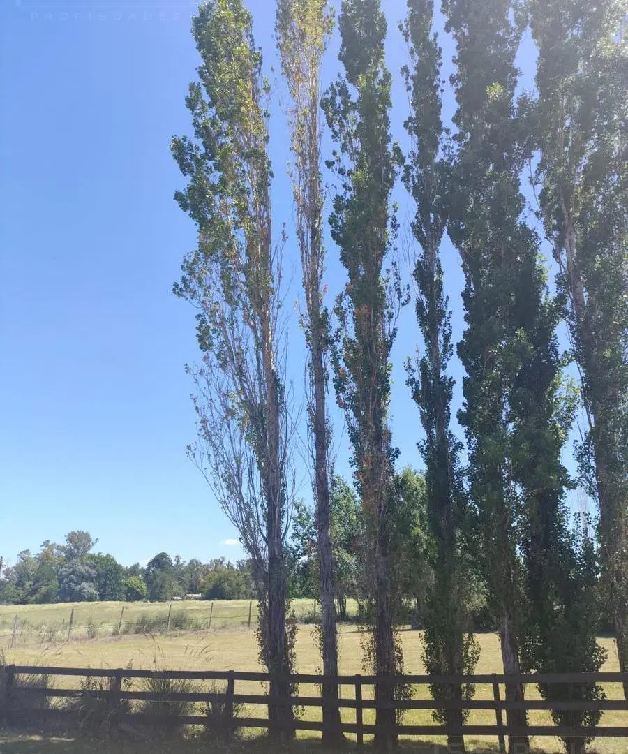 Lote de Terreno de 1200 m2 en Venta en el Club de Campo Los Palenques en Manzanares. 4