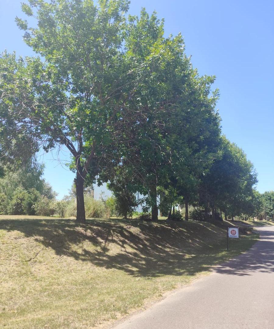 Lote de Terreno de 1200 m2 en Venta en el Club de Campo Los Palenques en Manzanares.