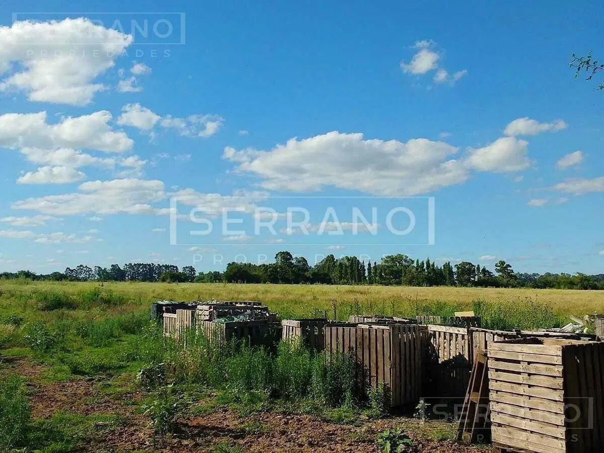 Importante Campo en Venta 146ha junto a Colonia de Chacra 5