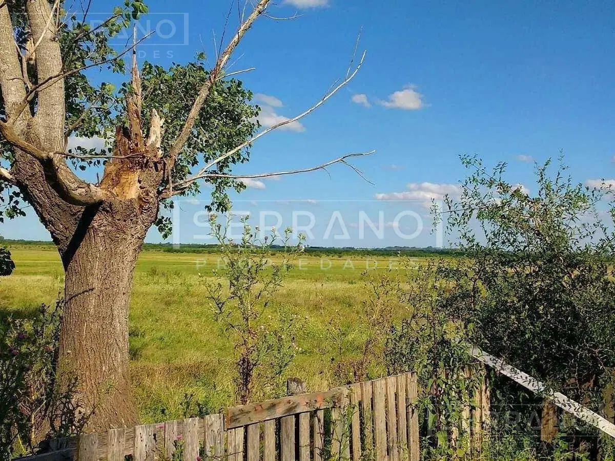 Importante Campo en Venta 146ha junto a Colonia de Chacra 3