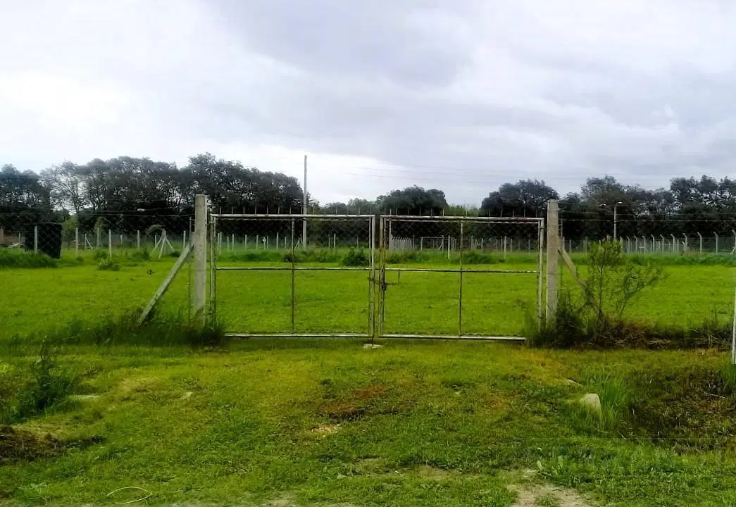 Venta Terreno de 1600m2 con mejoras, Parque Sakura II, Exaltacion de la Cruz 4