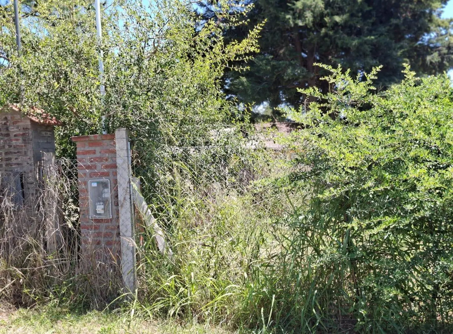 Venta lote de 730 m2 con mejoras, Parque Sakura, Exaltacion de la Cruz 5