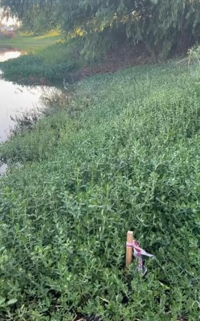 Venta Terreno directo a la Laguna en Barrio Nautico El Cazal Escobar. 2