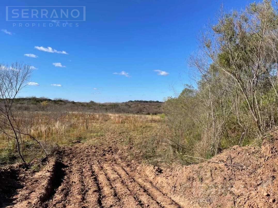 Foto de Terreno Campo en Venta en Loma Verde, Escobar, imagen 5