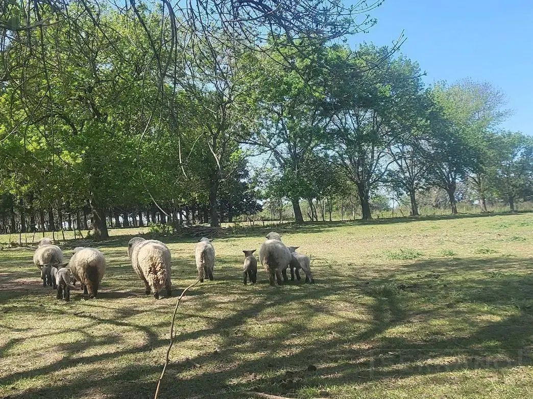 Venta Campo 40 Ha en Lima Zarate 3