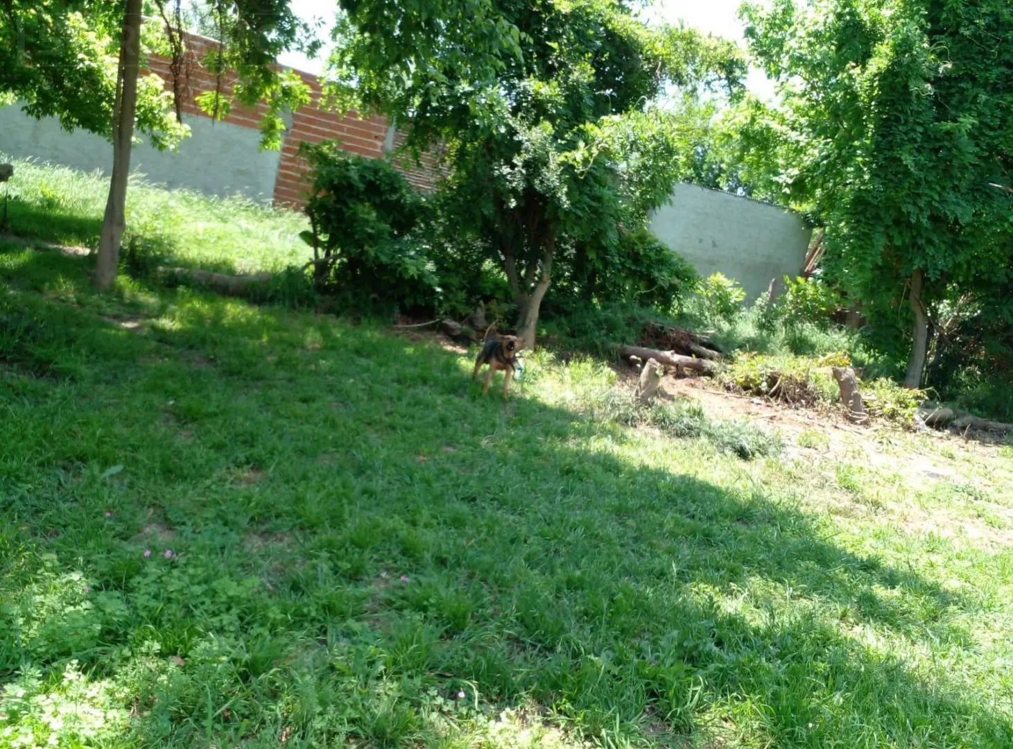 Venta terreno en Los Cardales, Exaltación de la Cruz 4