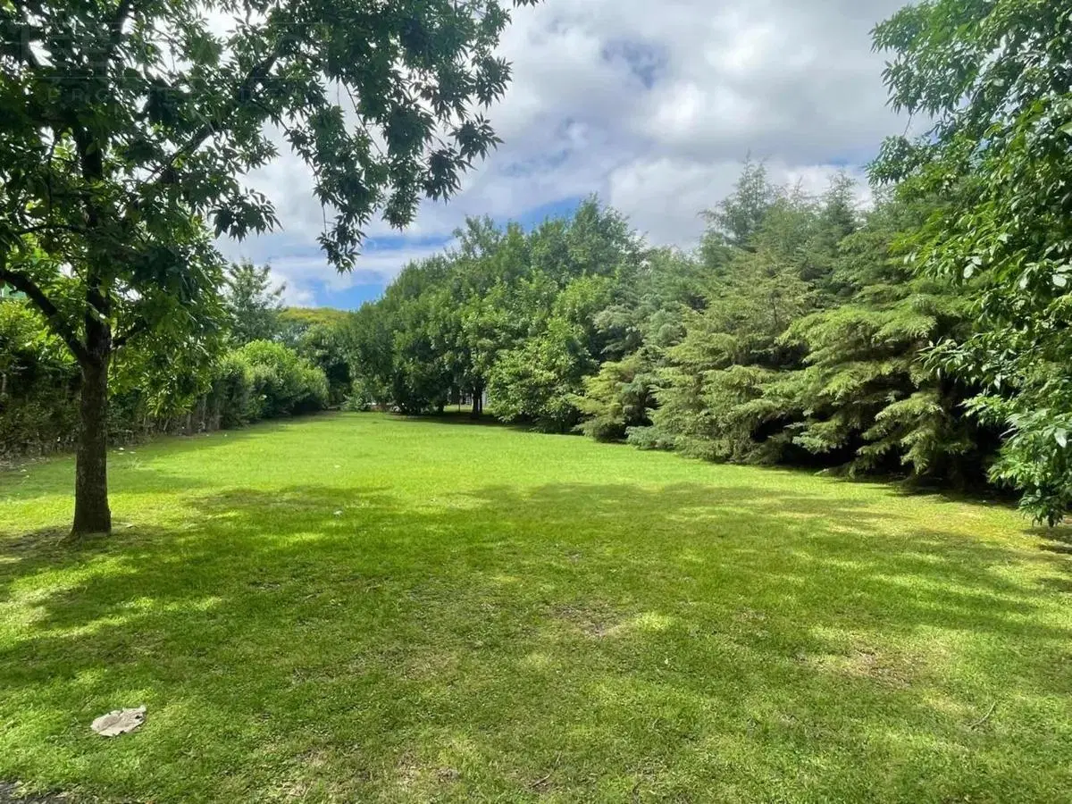 Venta terreno oportunidad en Barrio Alamo Alto 3