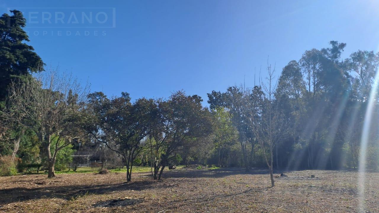 Foto de LDO Venta. Lote 2736m2. Barrio El Remanso. Exaltación de la Cruz, imagen 3