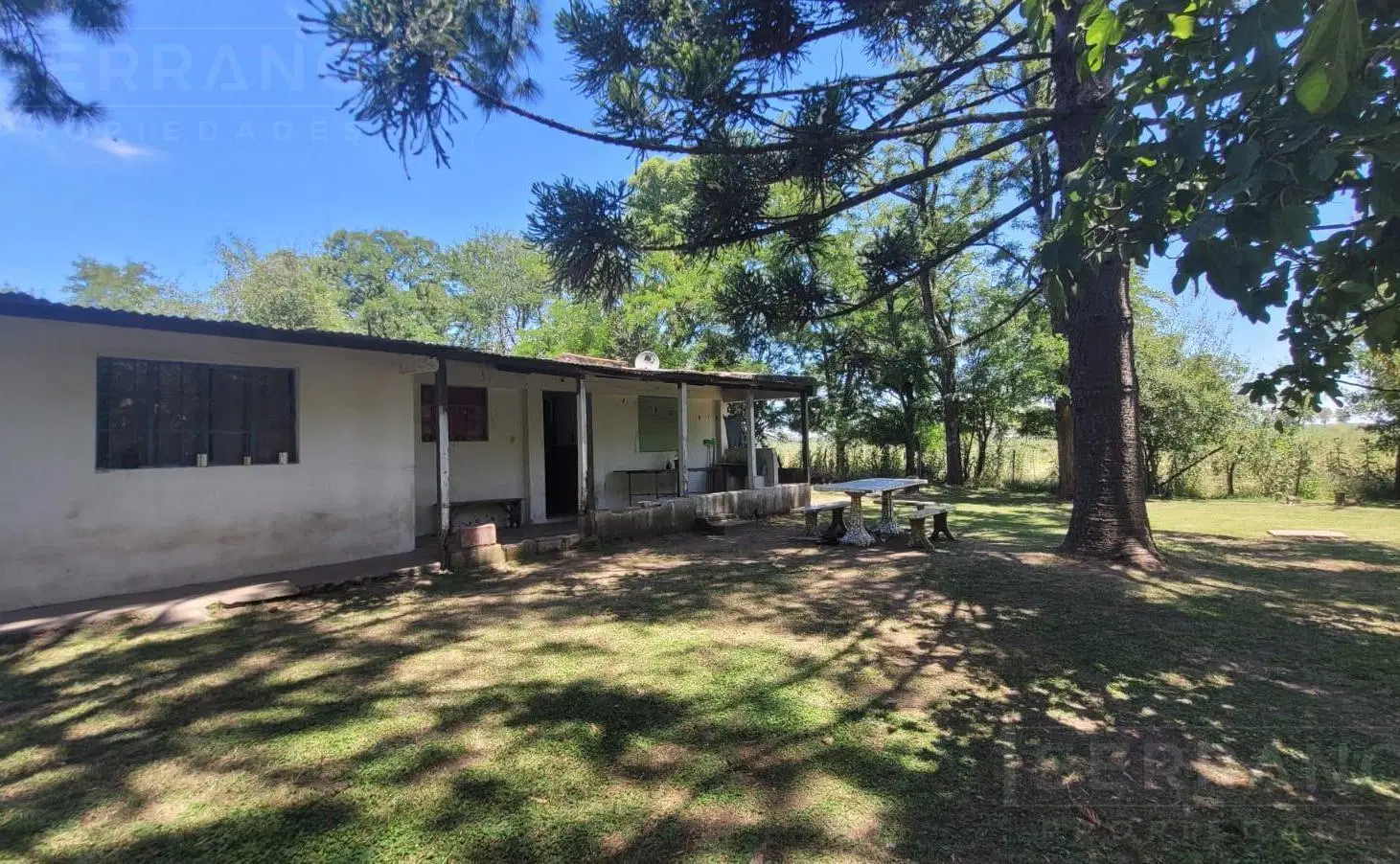 Venta Chacra 4500m2 en Mercedes, Buenos Aires 2