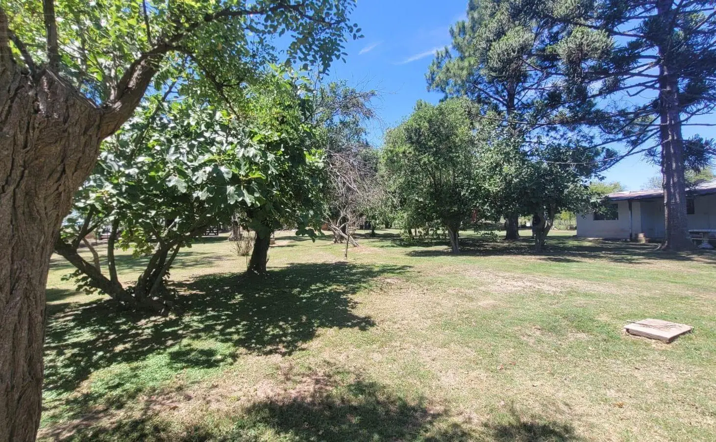 Venta Chacra 4500m2 en Mercedes, Buenos Aires 1