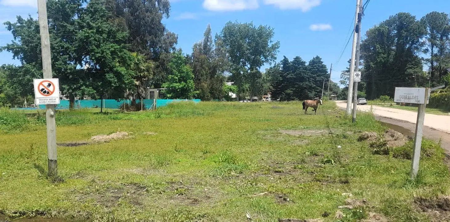 Venta  Terrenos, Parque Sakura, calles  Guiraldes  e Ingenieros al 700. Exaltación de la Cruz 4